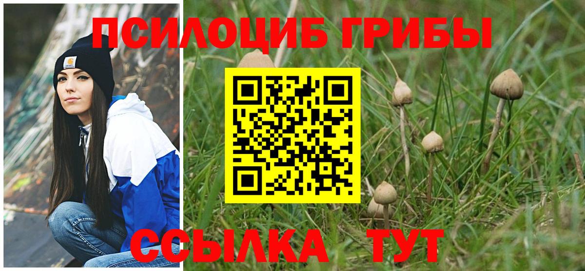 Галлюциногенные грибы Magic Shrooms  Галлюциногенные грибы прущие грибы  Вход с VPN  Ефремов 